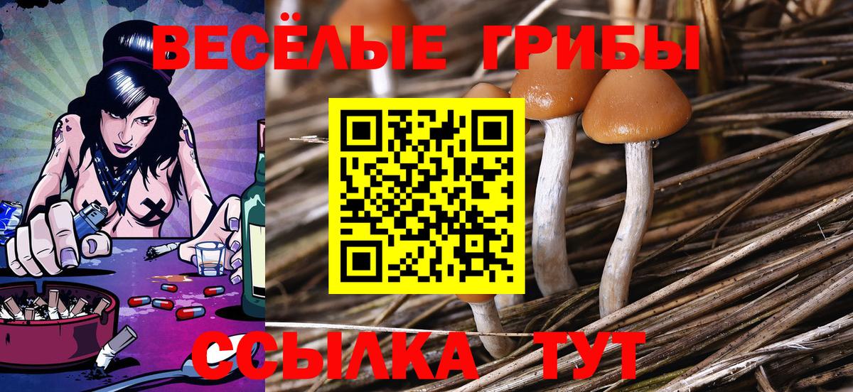 КОКАИН Курган
